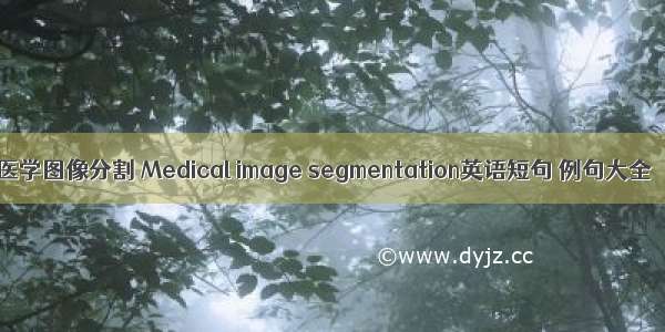 医学图像分割 Medical image segmentation英语短句 例句大全