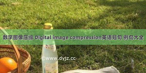 数字图像压缩 Digital image compression英语短句 例句大全