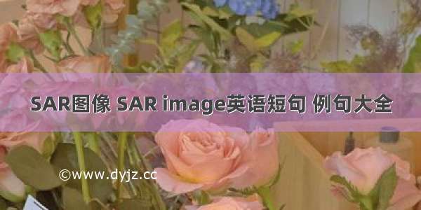 SAR图像 SAR image英语短句 例句大全