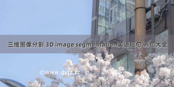 三维图像分割 3D image segmentation英语短句 例句大全