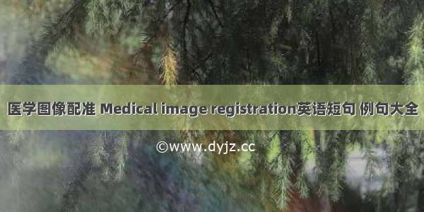 医学图像配准 Medical image registration英语短句 例句大全