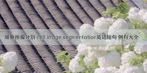 细胞图像分割 cell image segmentation英语短句 例句大全