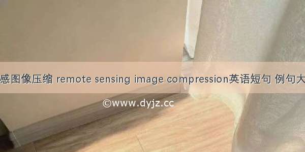 遥感图像压缩 remote sensing image compression英语短句 例句大全