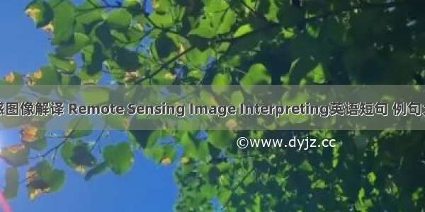 遥感图像解译 Remote Sensing Image Interpreting英语短句 例句大全