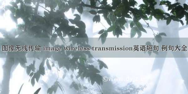 图像无线传输 image wireless transmission英语短句 例句大全