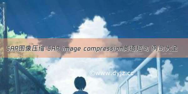 SAR图像压缩 SAR image compression英语短句 例句大全