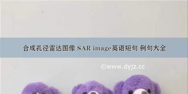 合成孔径雷达图像 SAR image英语短句 例句大全