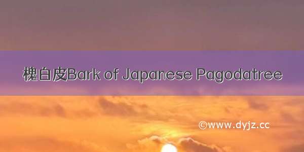 槐白皮Bark of Japanese Pagodatree