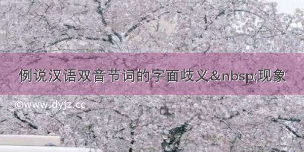 例说汉语双音节词的字面歧义 现象