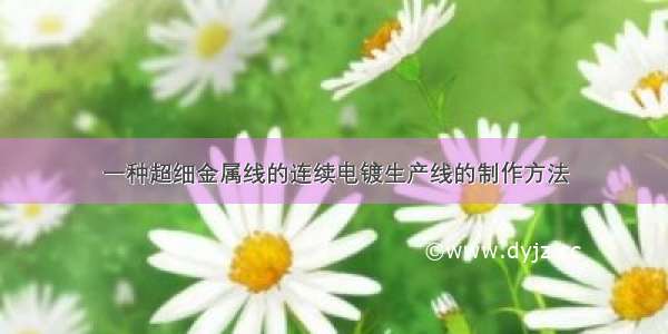 一种超细金属线的连续电镀生产线的制作方法