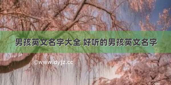 男孩英文名字大全 好听的男孩英文名字