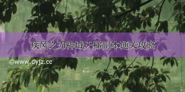 疾风之刃神域天梯副本通关攻略