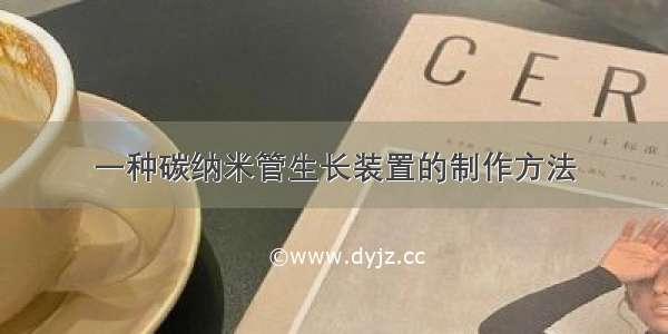 一种碳纳米管生长装置的制作方法