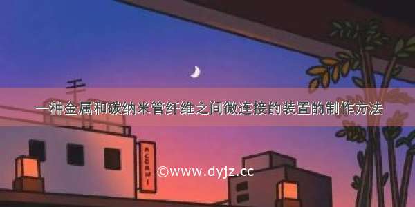 一种金属和碳纳米管纤维之间微连接的装置的制作方法