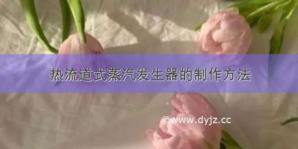 热流道式蒸汽发生器的制作方法