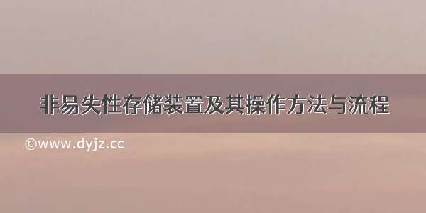 非易失性存储装置及其操作方法与流程