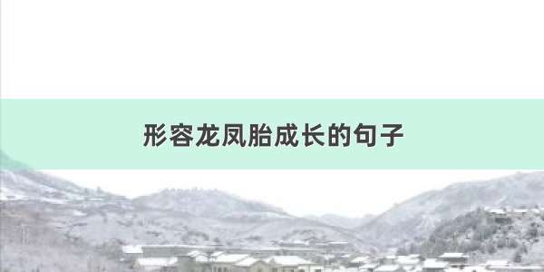 形容龙凤胎成长的句子