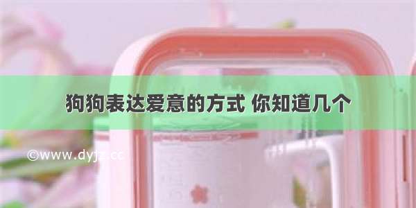 狗狗表达爱意的方式 你知道几个