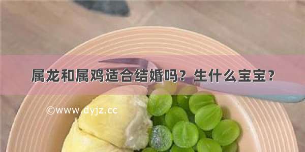 属龙和属鸡适合结婚吗？生什么宝宝？