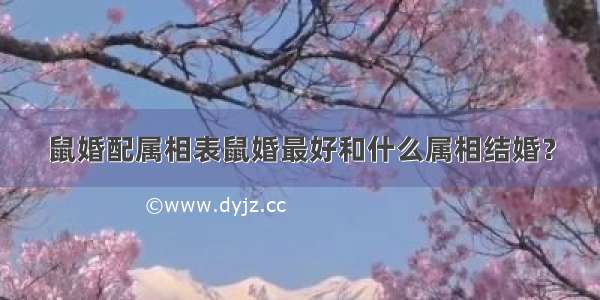 鼠婚配属相表鼠婚最好和什么属相结婚？