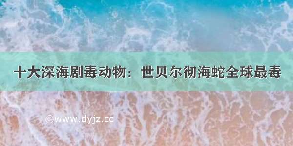 十大深海剧毒动物：世贝尔彻海蛇全球最毒