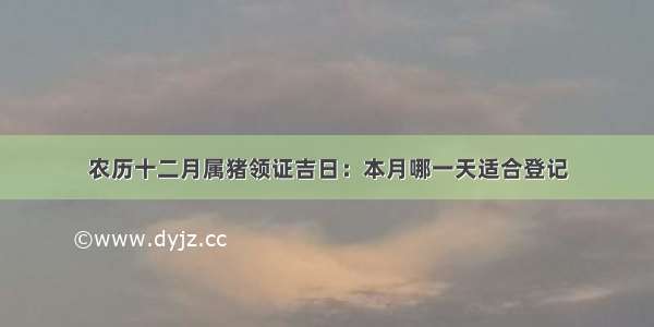 农历十二月属猪领证吉日：本月哪一天适合登记