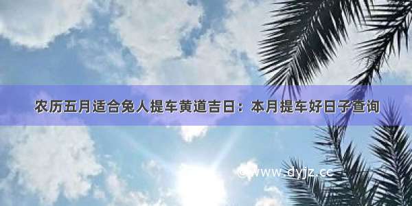 农历五月适合兔人提车黄道吉日：本月提车好日子查询