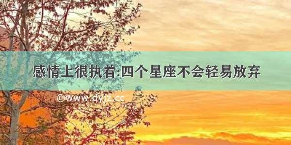 感情上很执着:四个星座不会轻易放弃