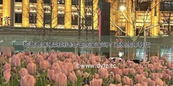 蛇爸爸属猪妈妈适合生虎宝宝吗？避免虎年转运