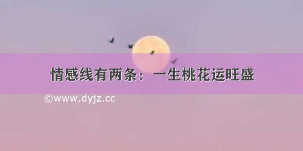 情感线有两条：一生桃花运旺盛