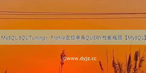 MySQL SQL Tuning：Profile定位单条QUERY性能瓶颈【MySQL】