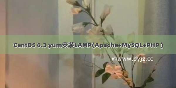 CentOS 6.3 yum安装LAMP(Apache+MySQL+PHP )