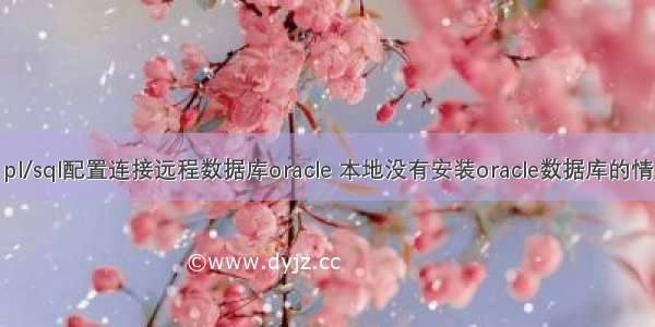 pl/sql配置连接远程数据库oracle 本地没有安装oracle数据库的情