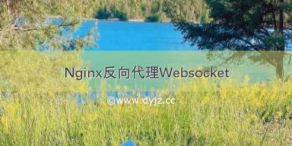 Nginx反向代理Websocket