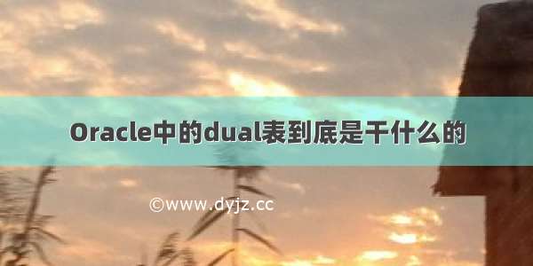 Oracle中的dual表到底是干什么的