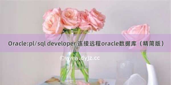 Oracle:pl/sql developer 连接远程oracle数据库（精简版）