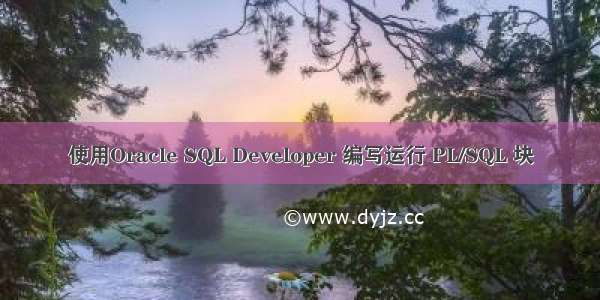 使用Oracle SQL Developer 编写运行 PL/SQL 块