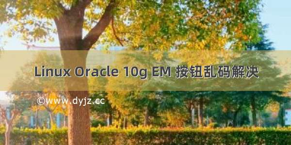 Linux Oracle 10g EM 按钮乱码解决