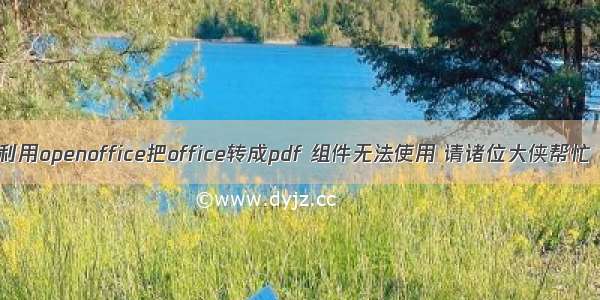 利用openoffice把office转成pdf 组件无法使用 请诸位大侠帮忙