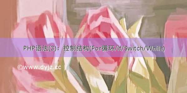 PHP语法(3)：控制结构(For循环/If/Switch/While)