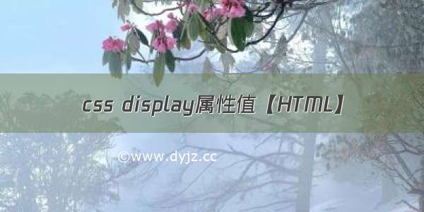 css display属性值【HTML】