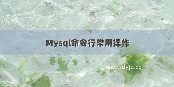 Mysql命令行常用操作