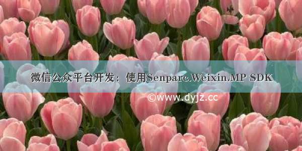 微信公众平台开发：使用Senparc.Weixin.MP SDK