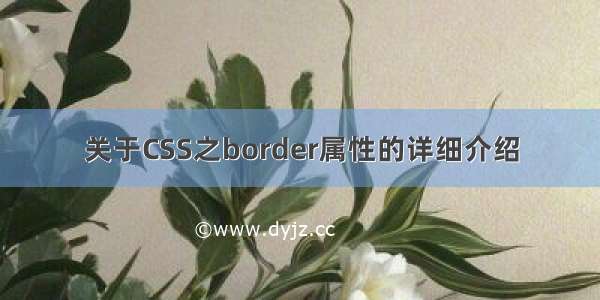 关于CSS之border属性的详细介绍