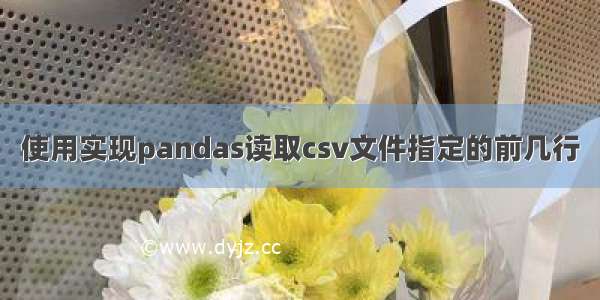 使用实现pandas读取csv文件指定的前几行