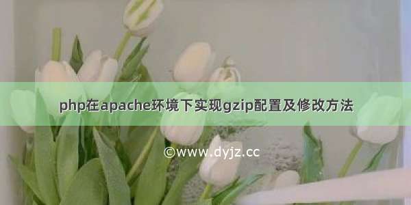 php在apache环境下实现gzip配置及修改方法