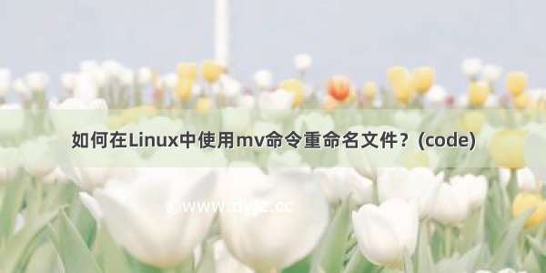 如何在Linux中使用mv命令重命名文件？(code)