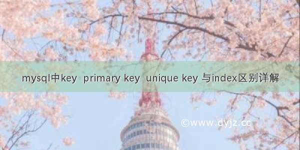 mysql中key  primary key  unique key 与index区别详解
