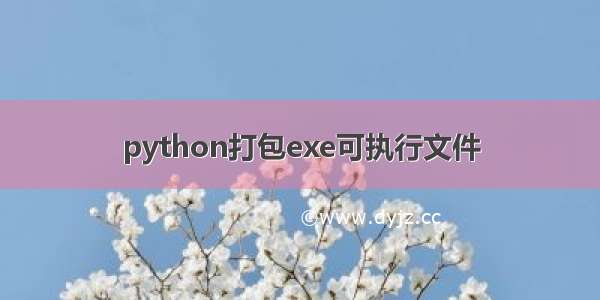 python打包exe可执行文件