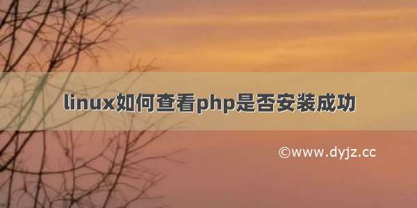 linux如何查看php是否安装成功